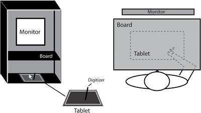 Aging Effect on Visuomotor Adaptation: Mediated by Cognitive Decline